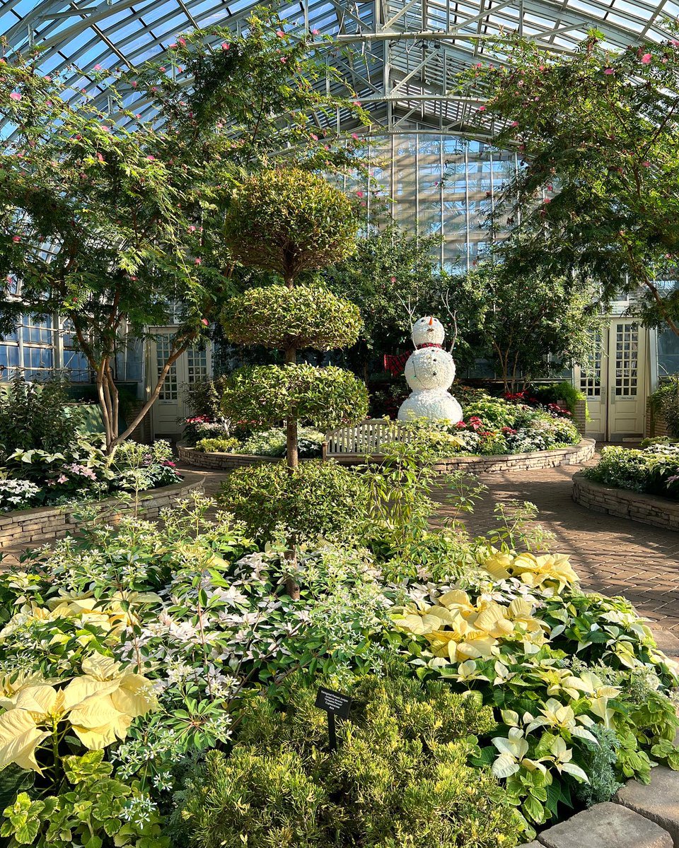 ChicagoParks's tweet photo. It's the last weekend to enjoy the splendor of the holiday magic at @gpconservatory &amp; Lincoln Park Conservatory. The Winter Flower Shows wrap up on Jan. 8th.  

👉Pre-reserve your free tickets TODAY at https://t.co/8CqsXz0VCU. #WinterInTheParks https://t.co/2ZKiLNtxQl