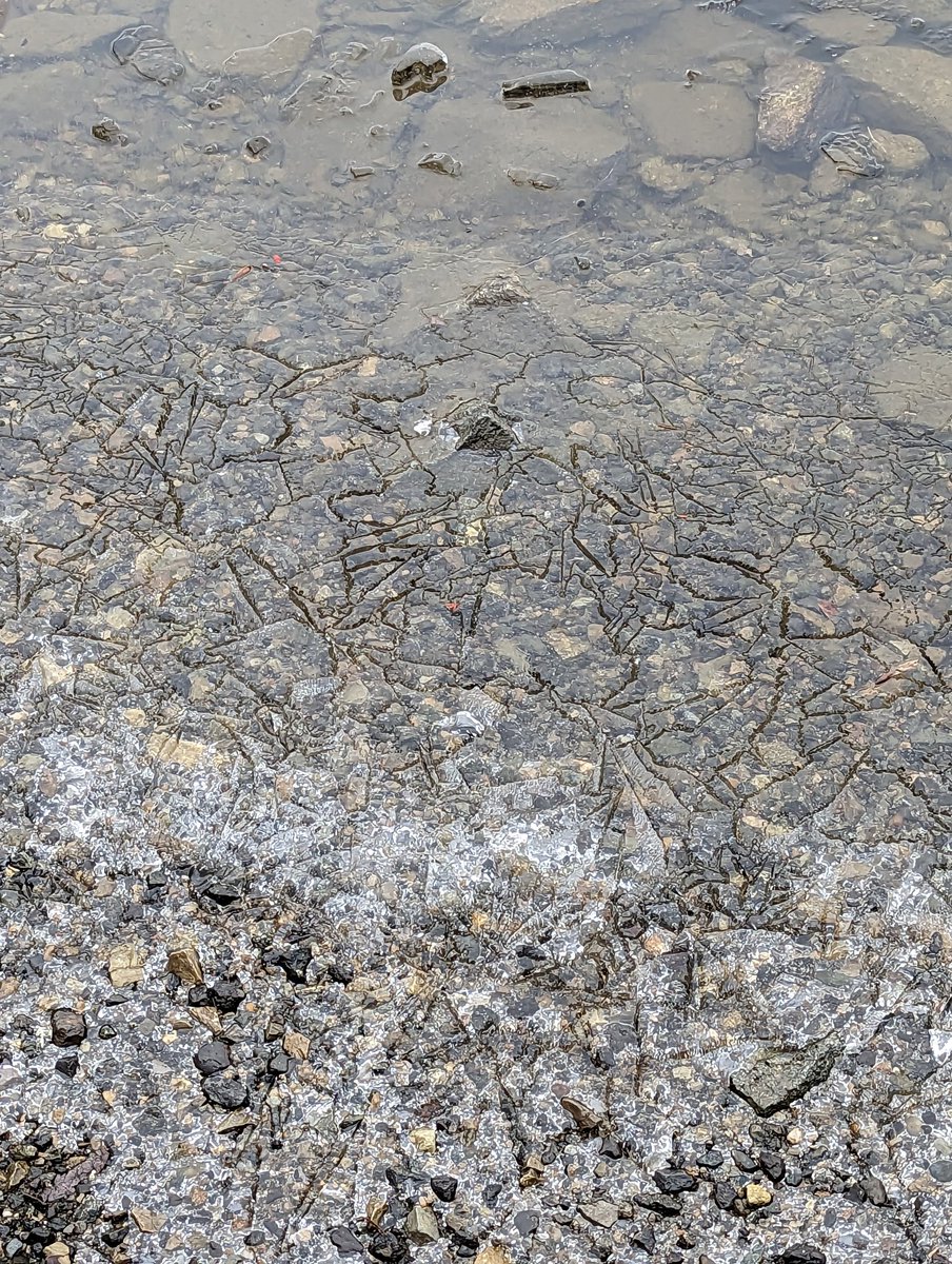 rdillon702's tweet photo. Ice forming at Marsh Creek. That was the last fishing day of the year. https://t.co/SZTSIQ428G