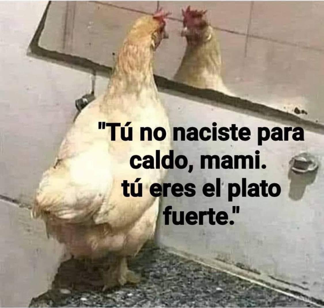 🫦 tweet media