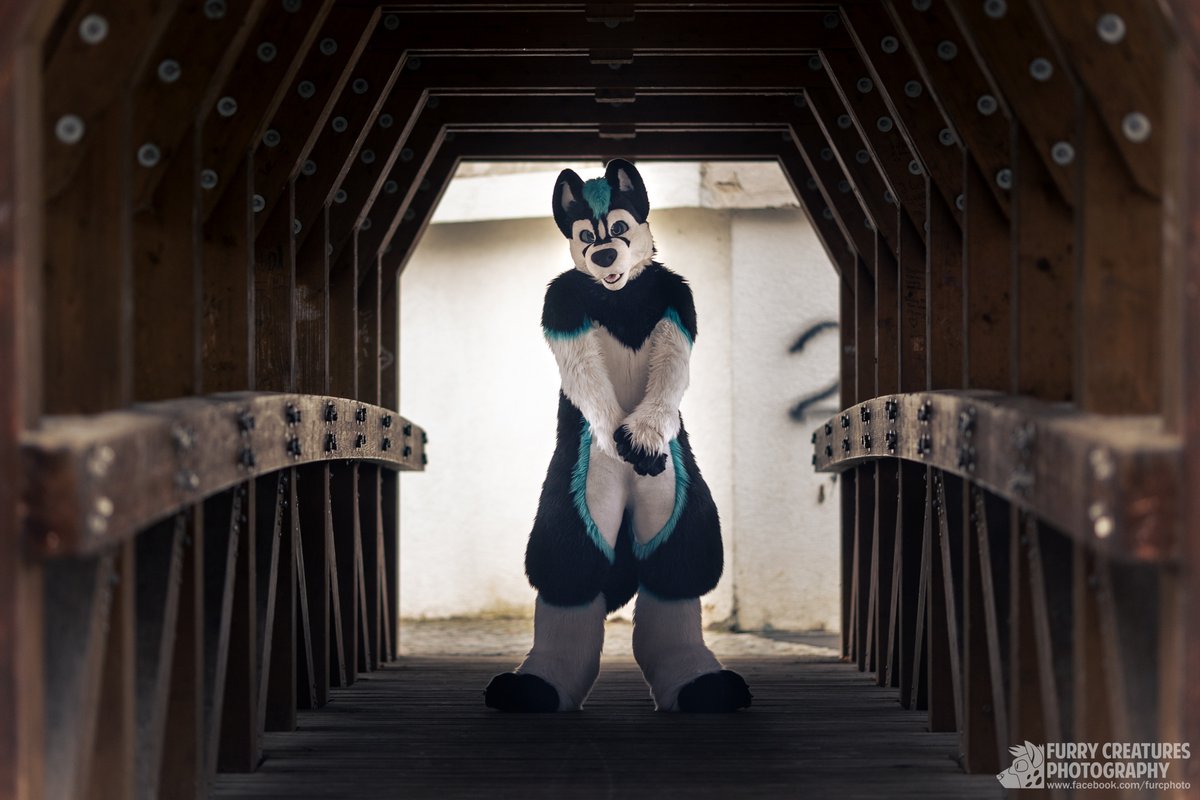 Furry C. Photo (@furcphoto) on Twitter photo Poor guy looks like he's too shy to cross the bridge alone this #FursuitFriday. Maybe someone can help?
πΆ <a href="/NebraskaHusky/">Nebraska Husky</a> Poor guy looks like he's too shy to cross the bridge alone this #FursuitFriday. Maybe someone can help?
πΆ <a href="/NebraskaHusky/">Nebraska Husky</a>
