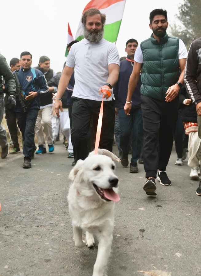 भारत जोड़ो यात्रा में लूनो भी हुआ शामिल - Luno also participated in Bharat Jodo Yatra