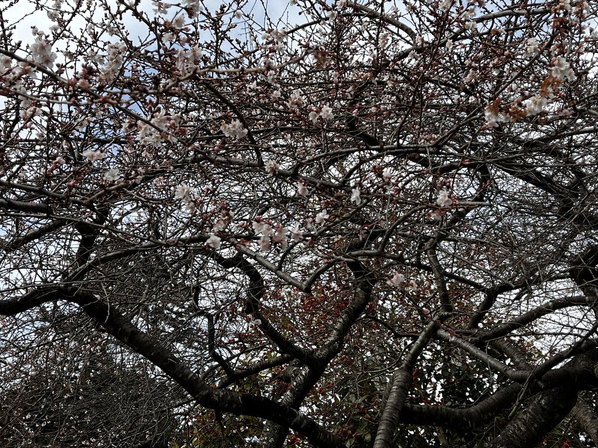 やっと初詣に行って来ました⛩✨
もう人出は少なく落ち着いてお参りが出来ました✌️
今年もよろしくお願いします☺️🎍✨ⓗⓐⓟⓟⓨ✨🎍
#塩竈
#塩釜
#仙台
#どんどん焼き
#お好み焼き
#焼きそば
#テイクアウト
#スタンプラリー
#宮城県
#宮城観光
#東北観光
#鹽竈神社
#塩竈神社
#御朱印帳
#神社巡り