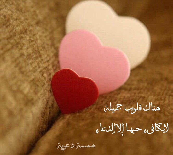 على سبيل ميلادِ الأمل 

 نور الله أكبر من ظلمةٍ في خطواتنا ..❤️

#صباح_الخير