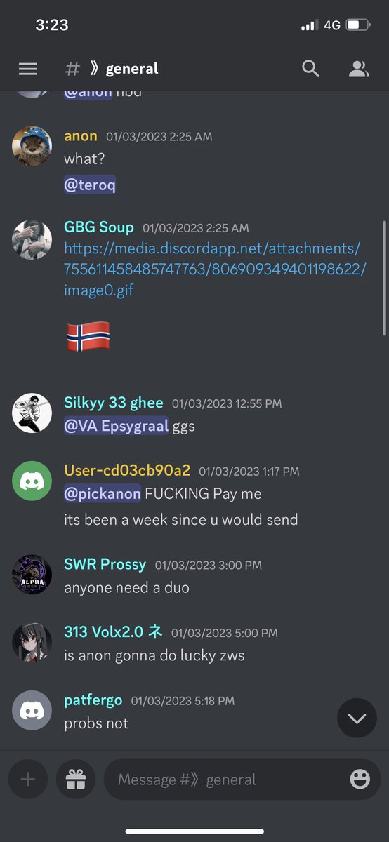 turtle slam tweet media