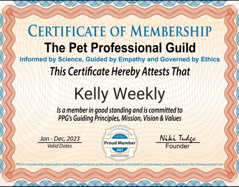 Just got my Certificate for this year from the Pet Professional Guild! How Cool is this!
#chicagodogs
#chicagodoglife
#dogmomsofchicago
#dogtrainer
#dogtrainingtips
#positivereinforcementdogtraining 
#oldtownchicago
#lincolnparkchicago
#realdogmomsofchicago
#dogsofchicago