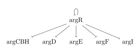 papers_bar's tweet photo. A compositional account of motifs, mechanisms, and dynamics in biochemical regulatory networks

https://t.co/NXWCnAv8A8

Regulatory networks depict promoting or inhibiting interactions between molecules in a...

🧵 👇 https://t.co/DnVLotXsaO
