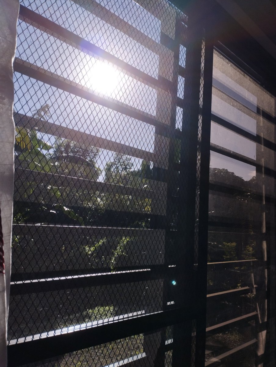 lifediscourse_'s tweet photo. The sun is finally out after several days of bleak and rain. https://t.co/5fEJ0wtz2H
