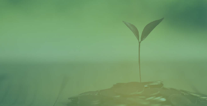 RainBirdCorp's tweet photo. Our commitment to #TheIntelligentUseOfWater has grown beyond our products. Today, we partner with customers, designers and municipalities to provide solutions, education and training that help achieve water resource management goals. https://t.co/KrPcimO5uC https://t.co/Wi8l1iejR4