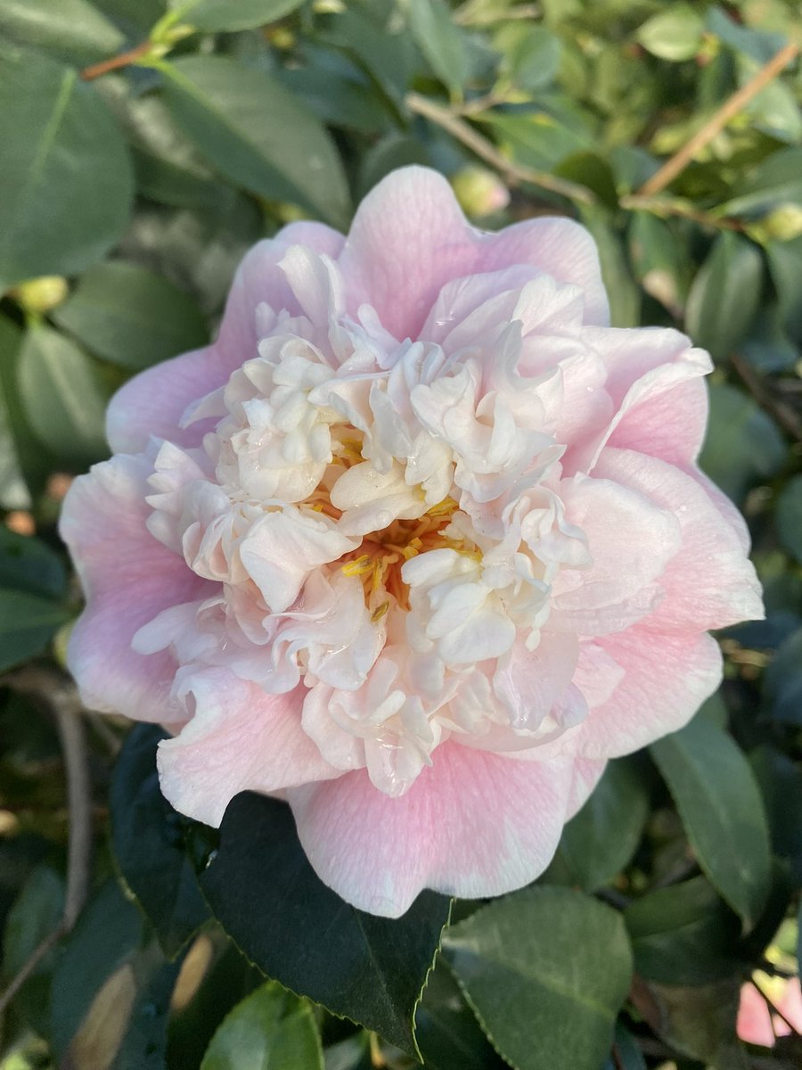 John and Bob's Smart Soil Solutions tweet media