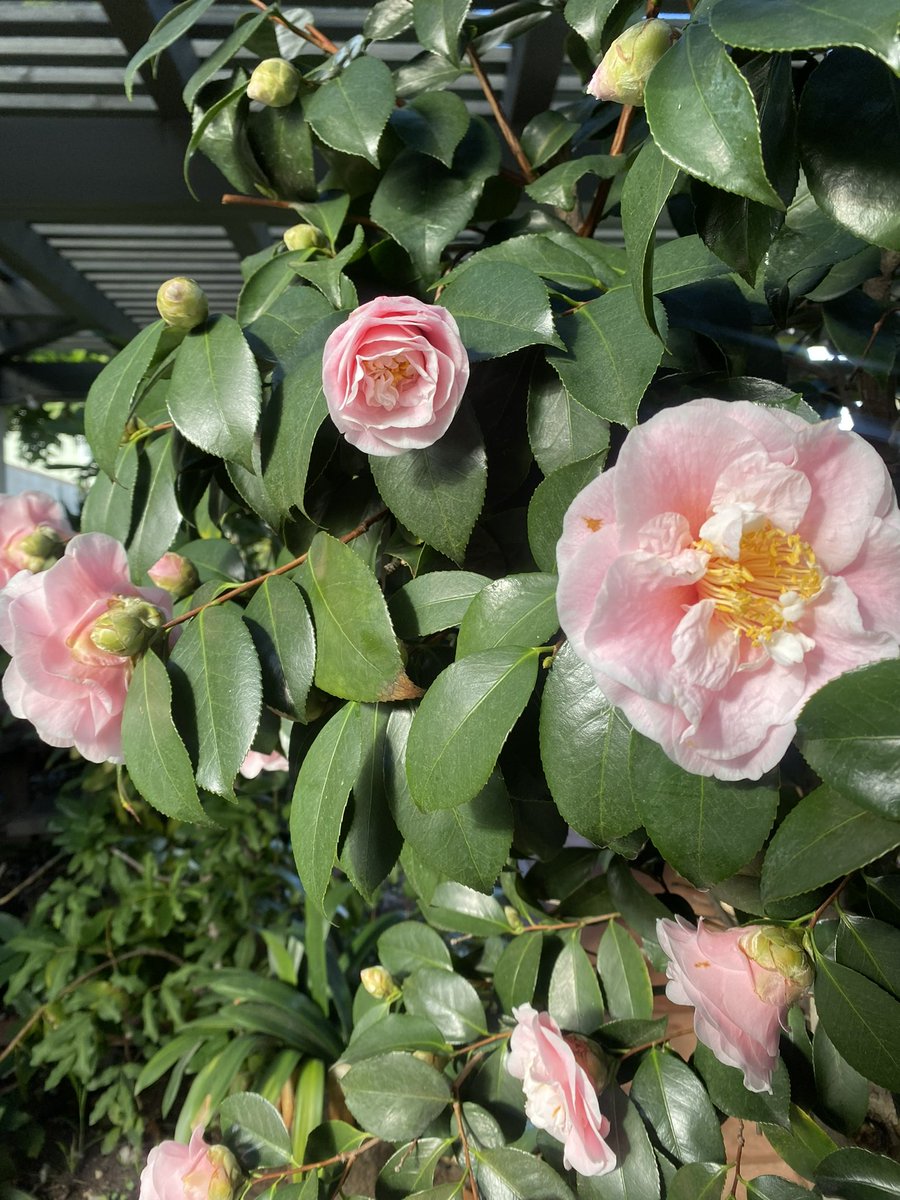 John and Bob's Smart Soil Solutions tweet media