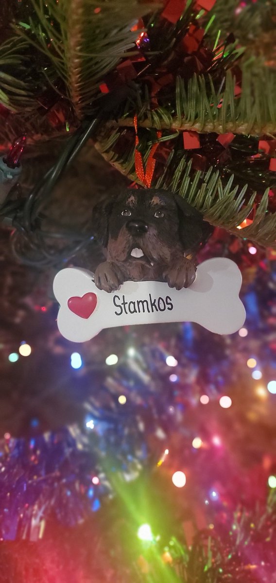 irishchicky28's tweet photo. Had to get it made. Probably gonna be his last Christmas  😢 https://t.co/XBXYv4weYl