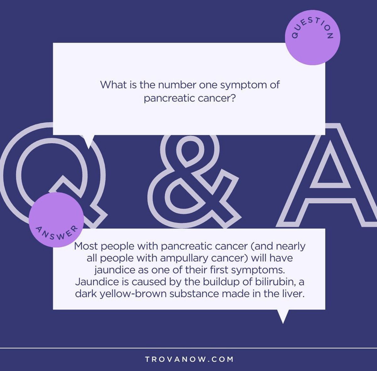 TrovaNOW tweet media