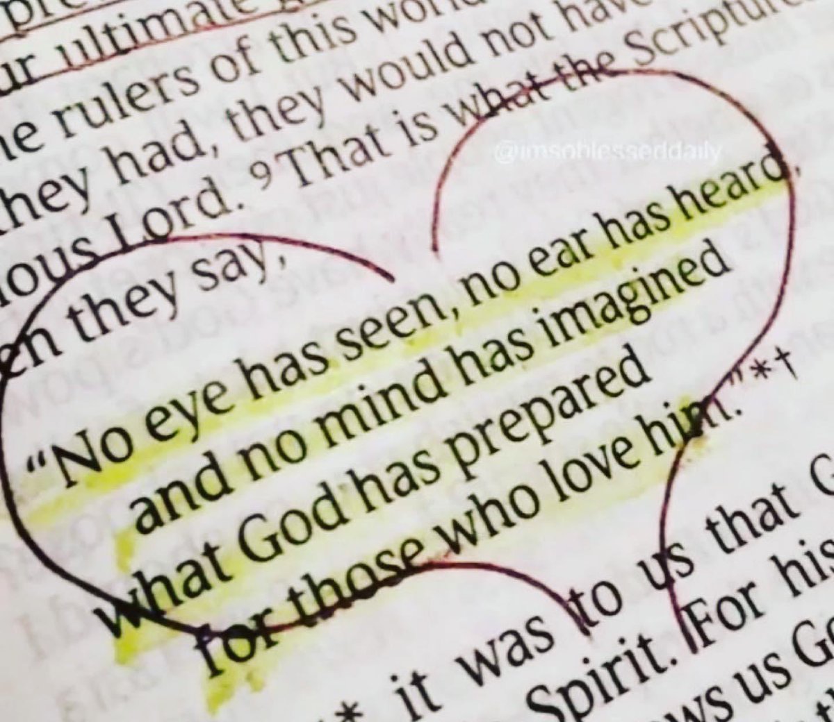 THEOLDGRAYBEARDSWIFE tweet media