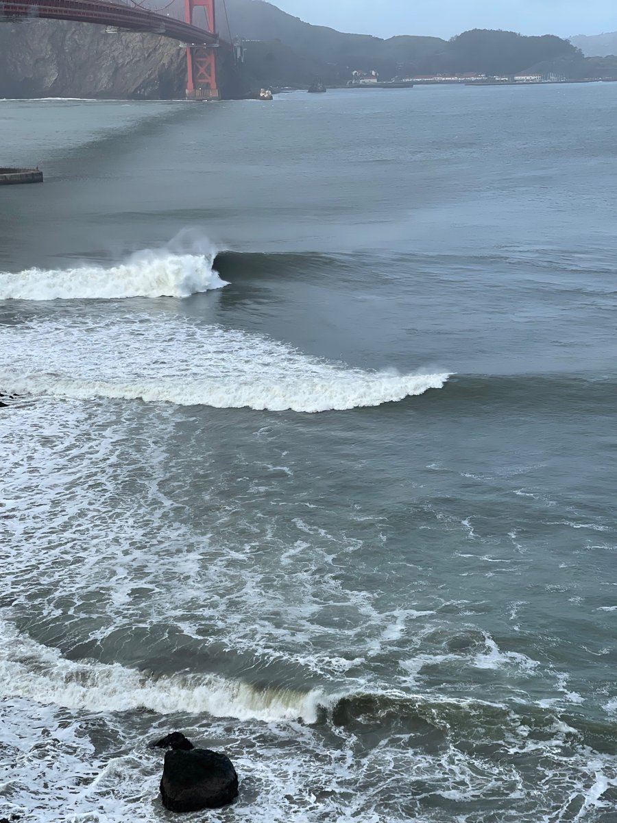 Tim Regnier tweet media