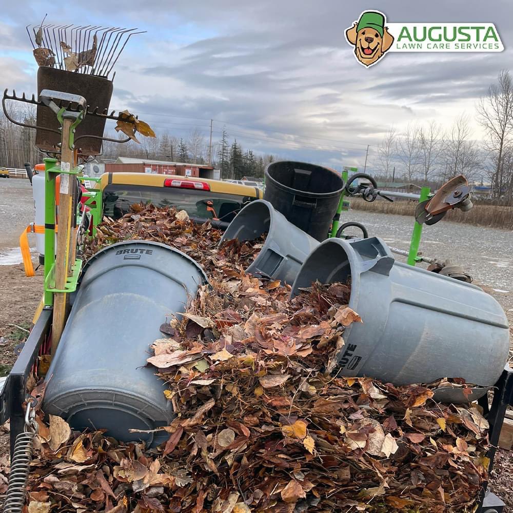Desheofrockland's tweet photo. Full truck of leaves? Super satisfying! 😋 Another lawn completely cleaned up.
#SmallBusiness #PropertyCleanup #AugustaNation #localbusiness #Service #LawnCare #Landscaping #reliableservice #AugustaLawnCare #dixhills #commackny #melvilleny #greenlawn https://t.co/oA3yRDnrgz