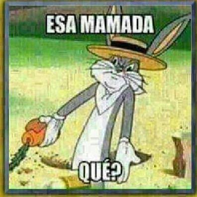 PedroDeAnda_'s tweet photo. @EdwinHdezDA https://t.co/WZDNjOQu6u