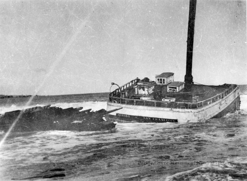 This themed #FlashbackFriday enjoy a C.K. Tuttle photo of the schooner Aurora waterlogged following a storm on Monterey Bay on January 18, 1935. She was later stranded on Del Monte Beach. Built in 1901 and owned at the time of her demise by Allen Knight.
#FBF #MuseumCollections