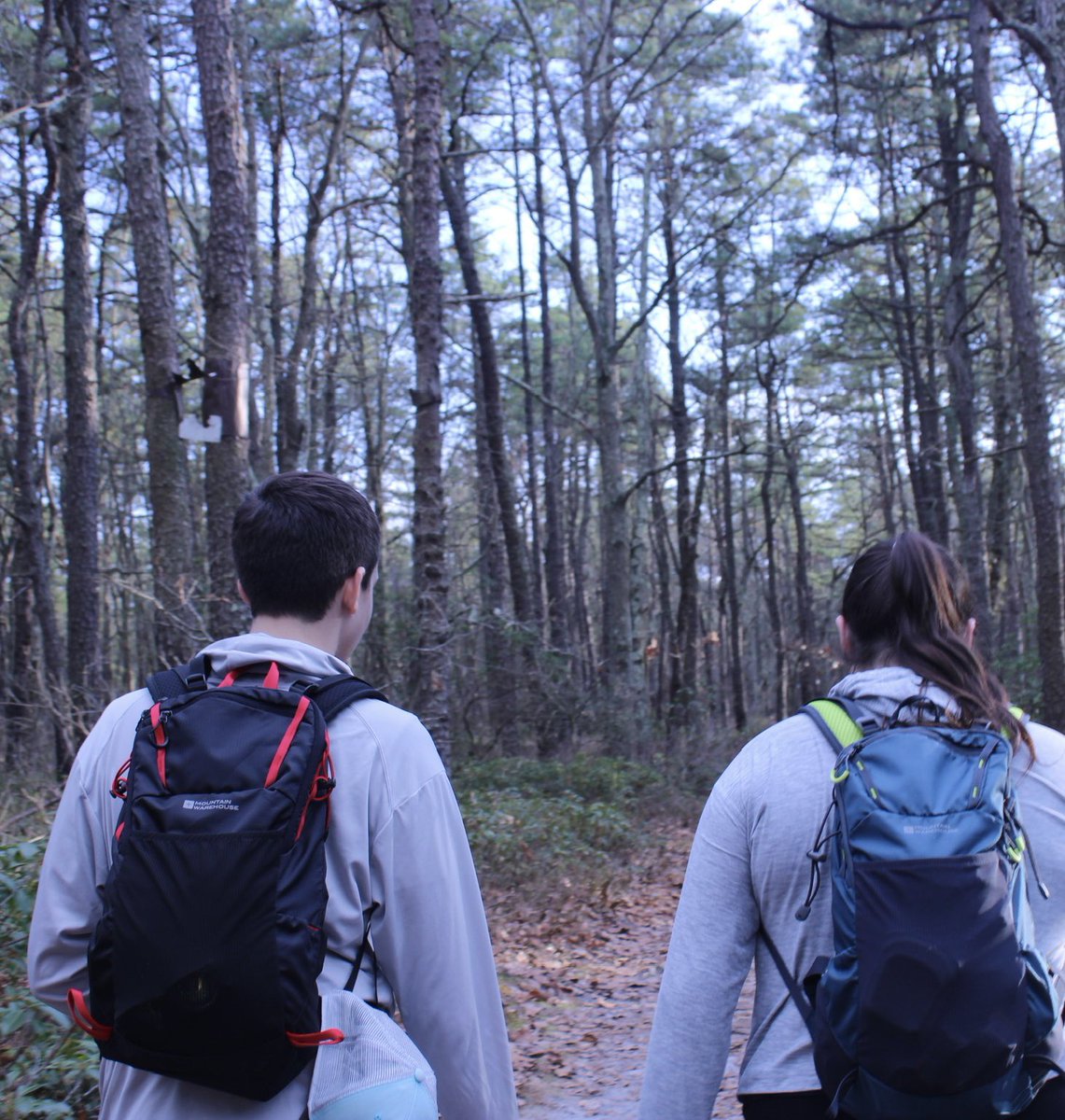 few things bring me as much joy as a good hike. i’ve decided to track how far i hike this year and document more of my adventures for myself. less than a week into the year and i’m already 12.5 miles down! 

here’s to long hikes and good weather