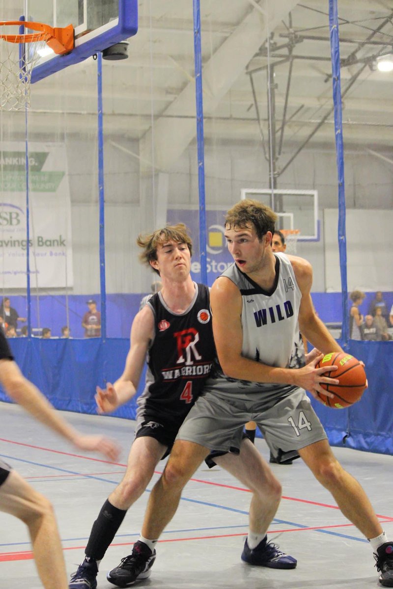 Adirondack Wild tweet media