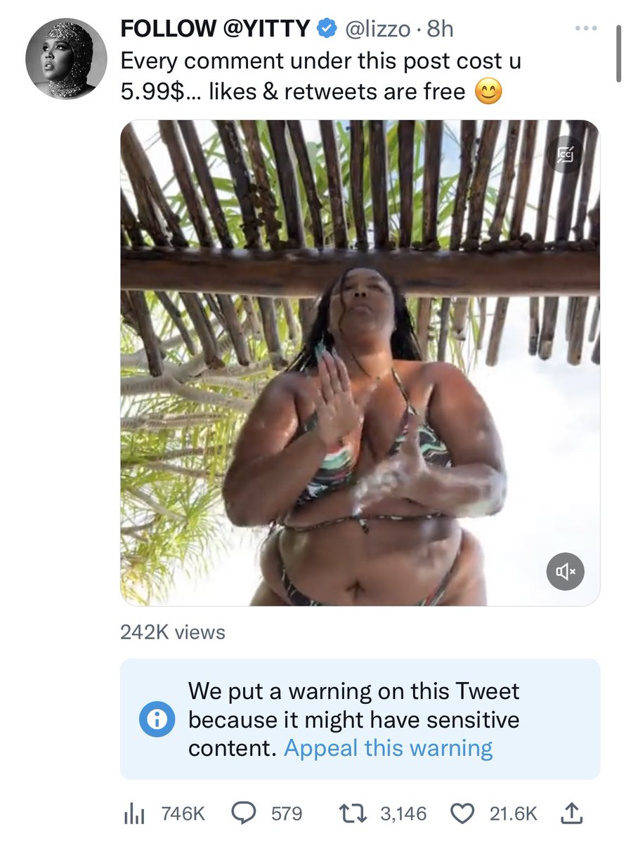 lizzo's tweet photo. FREE MY TWEET @TWITTER https://t.co/ZQd8yKoWo0