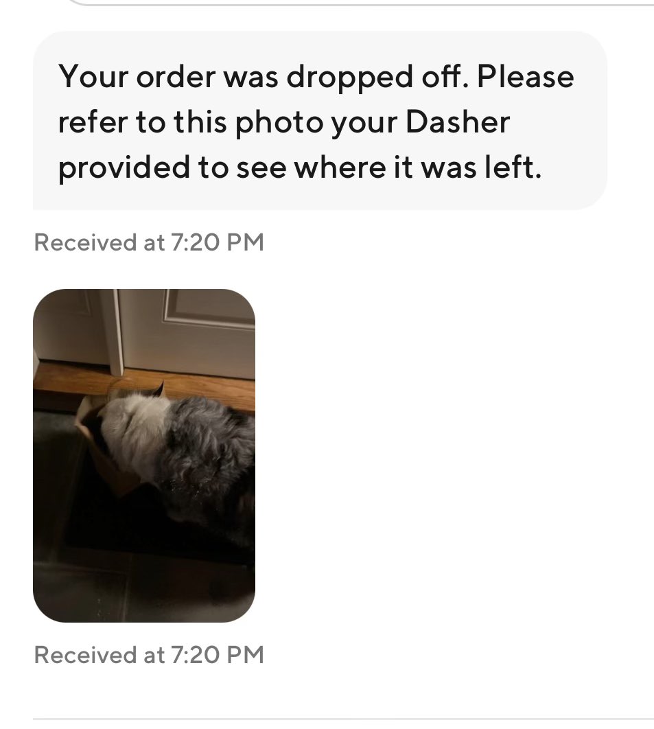 Thanks <a href="/DoorDash/">DoorDash</a> for serving dinner to our dog! 😳😅