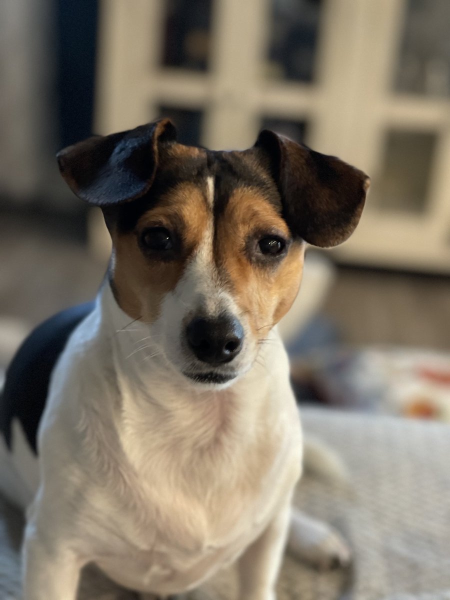 Kim Winingear tweet media