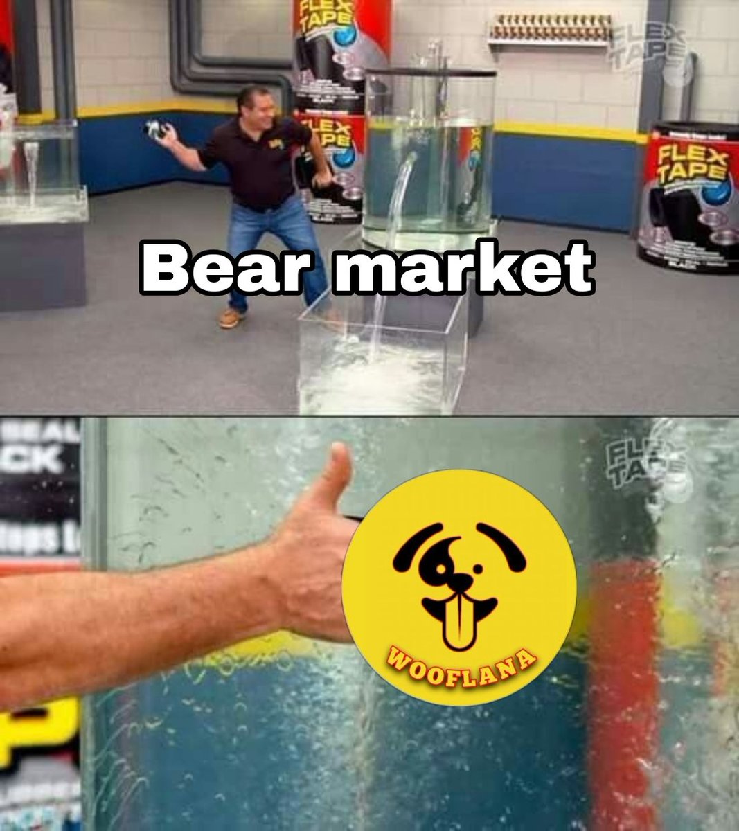 marshal9938's tweet image. Woof woof @wooflana 
#WOOFLANA #memetoken #Solana