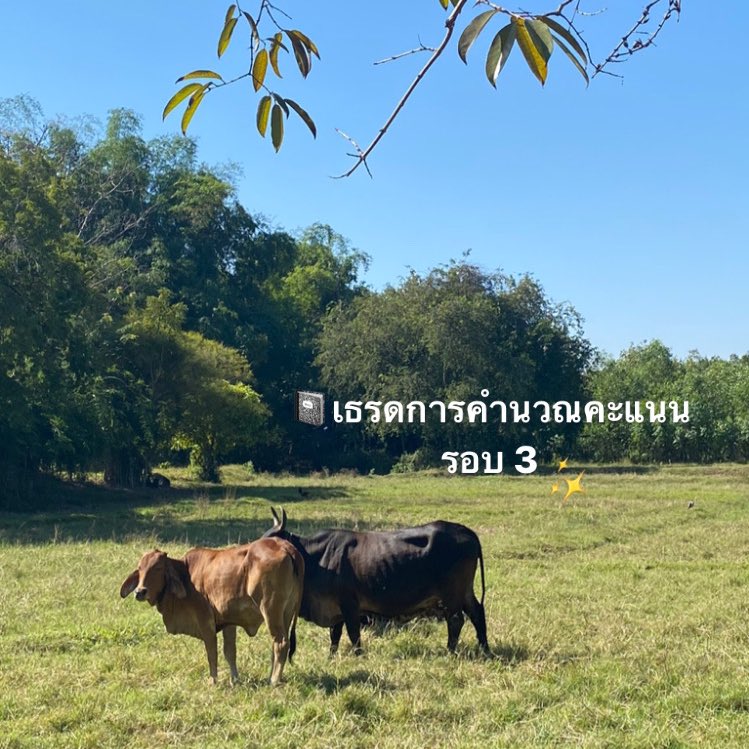เธรดการคำนวณคะแนน รอบ 3 Admission

⚠️ ผิดถูกตรงไหนสามารถบอกให้เราแก้ในเมนชั่นได้เลยนะคะ🙏🏻