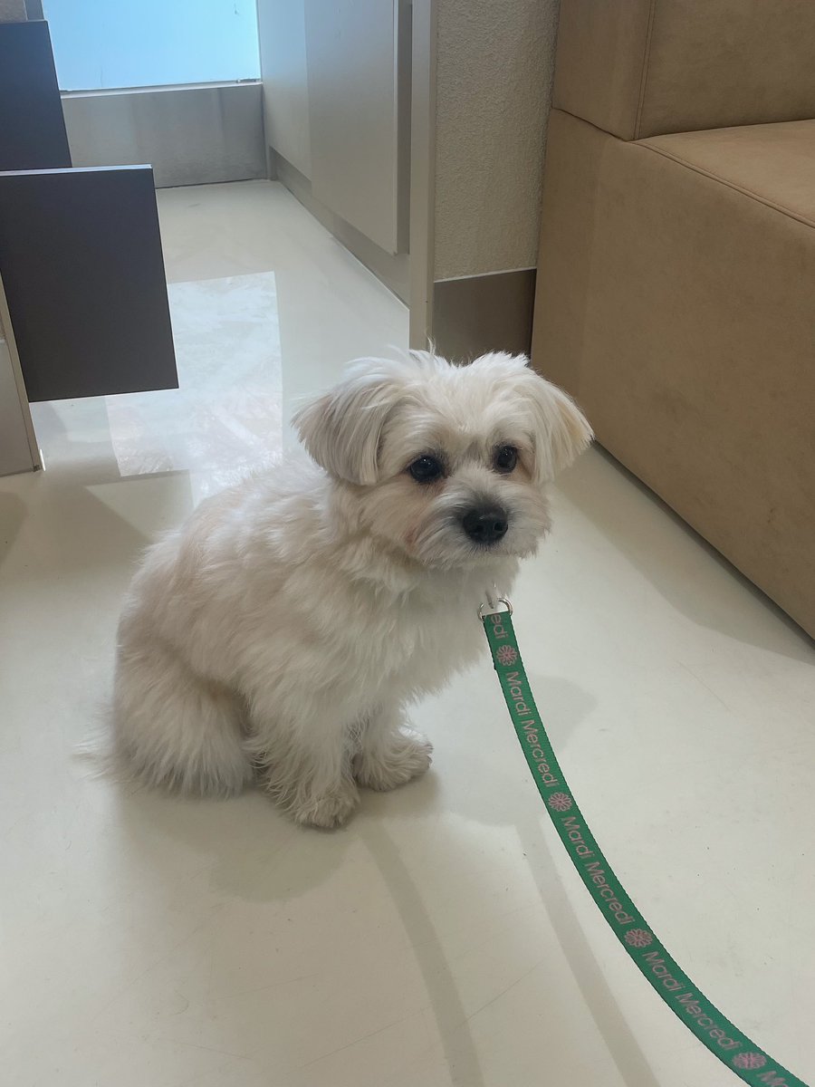 seoul-kim-on-twitter-rt-i-am-me-ooo