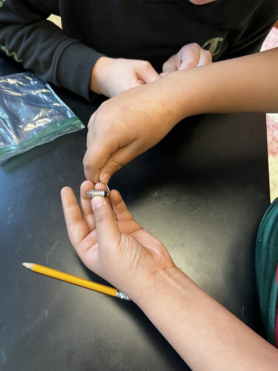 Ms. Phillips tweet media