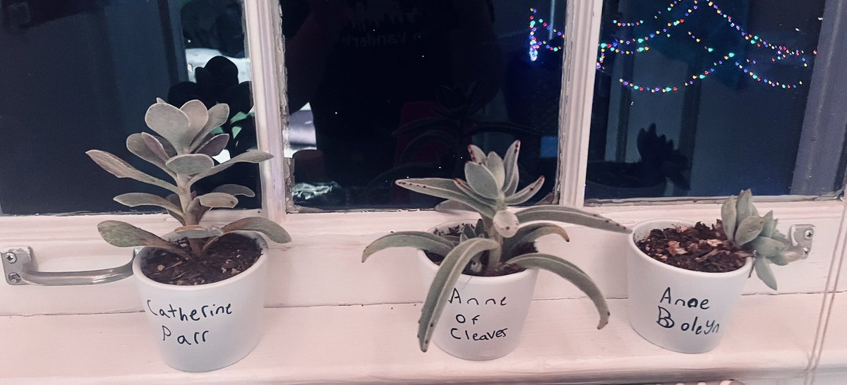 Kathryn Lindley tweet media