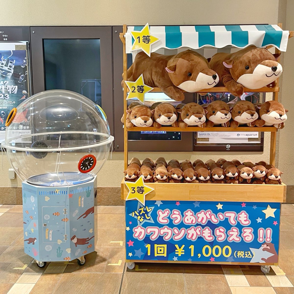 サンシャイン水族館 on X: 