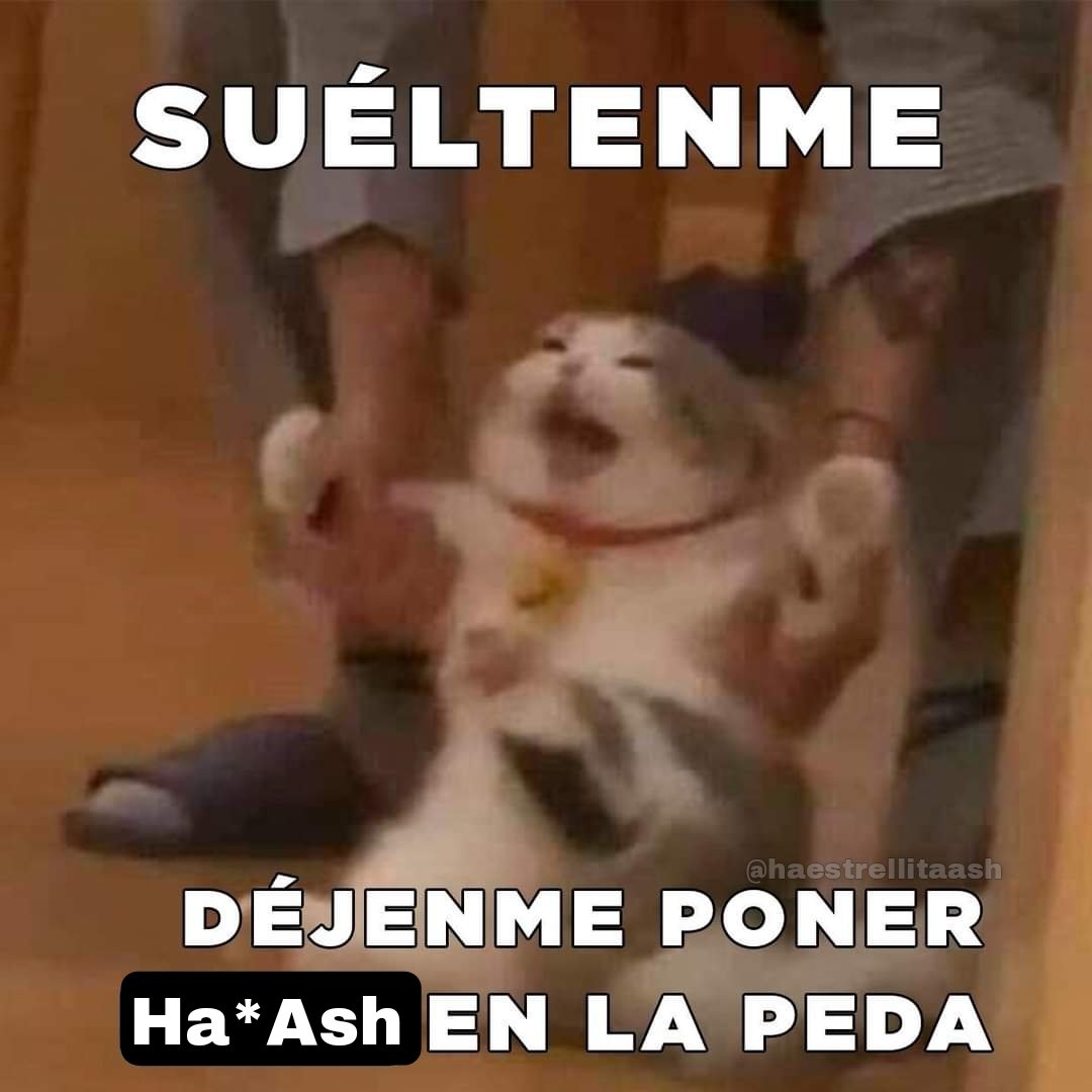 Si ya saben como soy pa'que me invitan 🤣 <a href="/haashoficial/">Ha*Ash</a>
