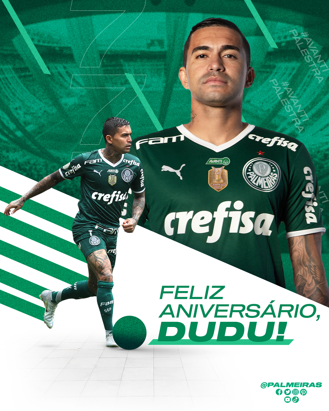 Palmeiras… hahahahha em 2023  Palmeiras, Balões personalizados