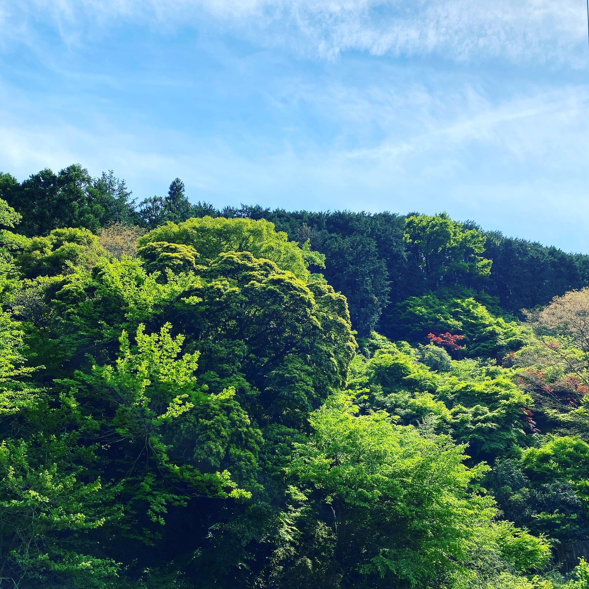 Garrel_Channel's tweet image. ใ็ท้็ทจ~Summary~ใ
#ๅ็
#photography