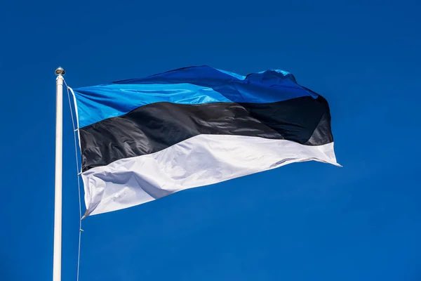 Petserimaakond's tweet photo. It has been approximately 3 months  since Estonia rightfully liberated the territory Petseri. Public polling shows that support for Estonia has grew from 99.6% from October to 99.8% today. God bless Estonia 🇪🇪 https://t.co/xSHwX3dcYf