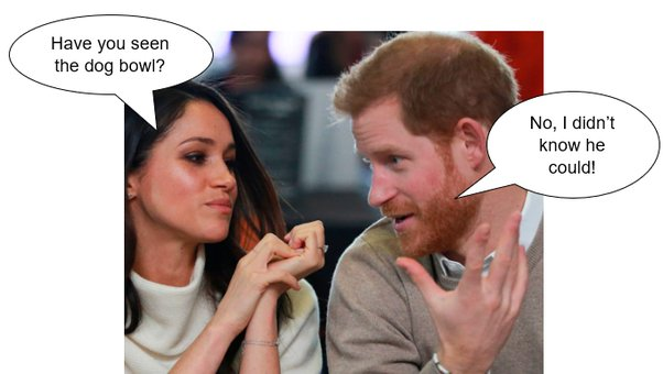 BrutusMaximusX's tweet photo. #DogBowlGate #DogBowlHarry #DogBowlDuke
#HarryandMeghan #HarryandMeghanonNetflix #HarrysNecklace #HarryisaLyingTraitor
#CricketTwitter
Give it a second Read ππ€£ https://t.co/mOJxCbMVfB