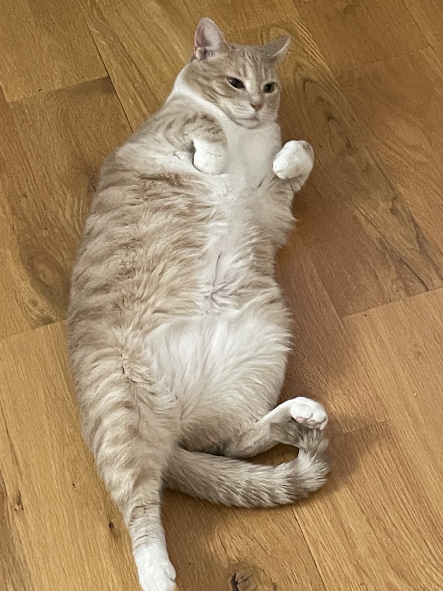 Anthony Donato tweet media