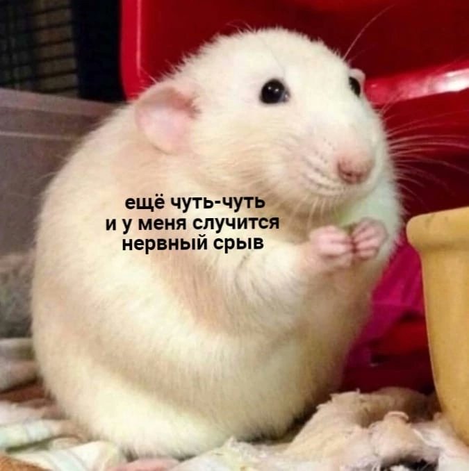 Sarma_45's tweet photo. @elzeavve Ну как бы... https://t.co/KMcjumxYin
