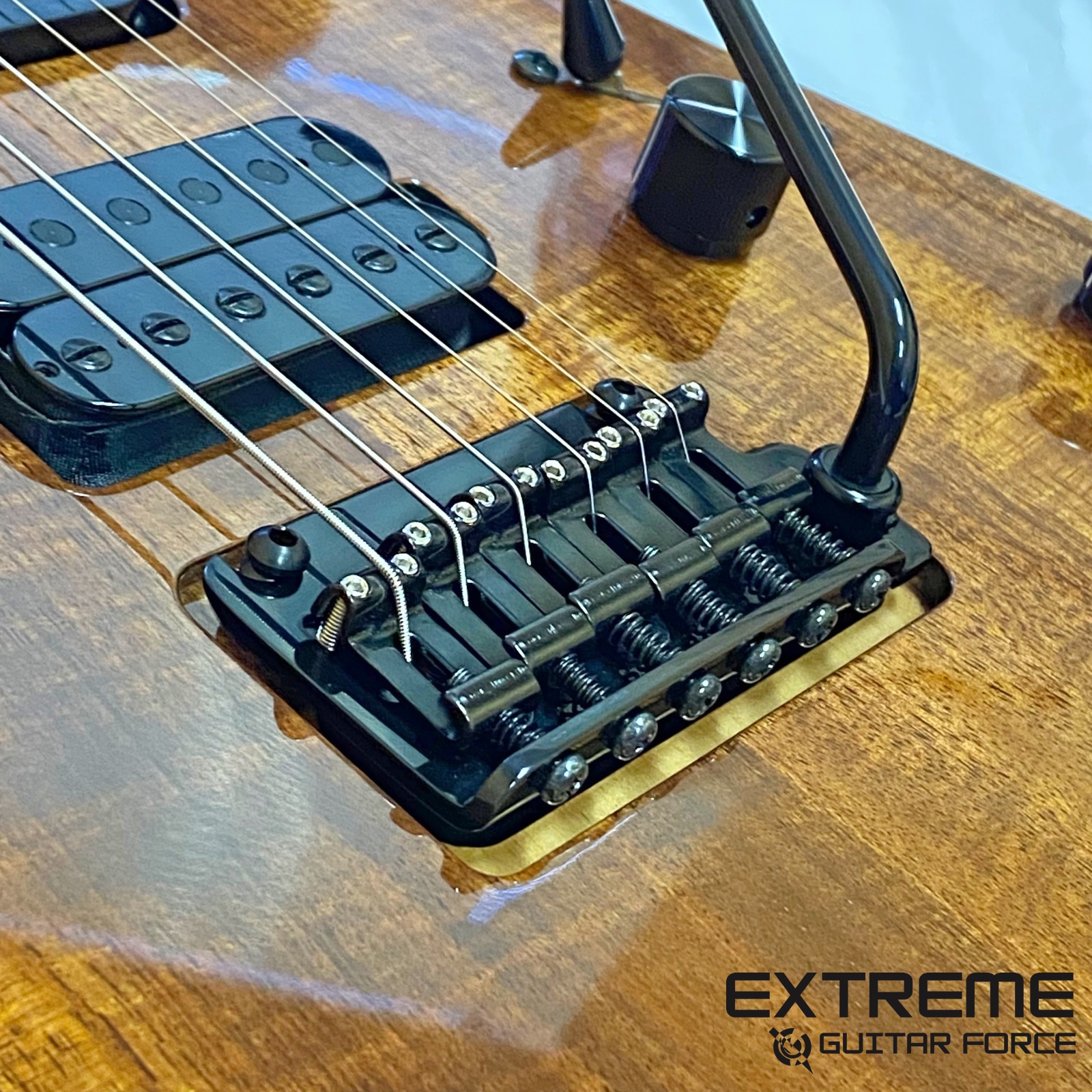 EXTREME GUITAR FORCE SD-9 Supper by EXG