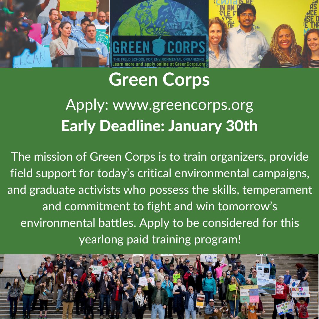 2023 needs to be another big year for climate action, saving our last wild places, protecting endangered species, and more! Apply to join our team and learn the skills needed to make an impact this year and beyond.
