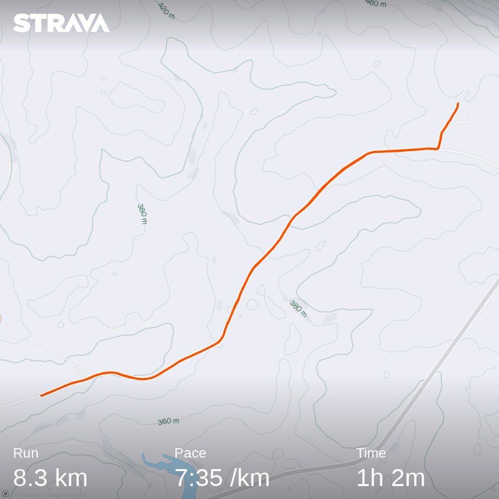 siya_sokomani's tweet photo. Took Bricks Mabrickado for a morning easy run. Good to be on the farm 💚 #RunningWithTumiSole rural edition 

#runninggreen #runningfortrees #runningtreecampaign https://t.co/vdmrDGuV8a