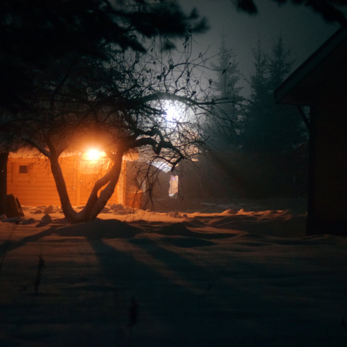 fotoll3's tweet photo. Теплый вечер https://t.co/vWqTMI3PlQ
