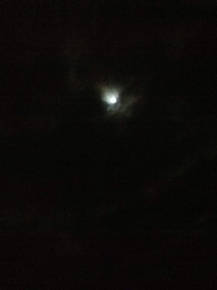goddessrosemar1's tweet photo. Moon moon mother moon https://t.co/xonGFBvMCQ