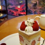 DOSUMIRU MAMAのツイート画像