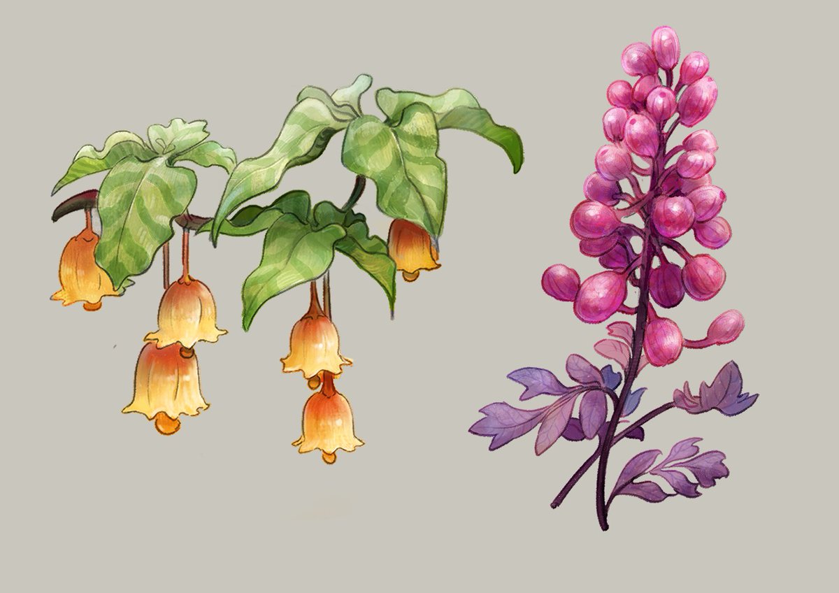 LeePaul1201's tweet photo. Botany concept https://t.co/QAMbwXQWAw