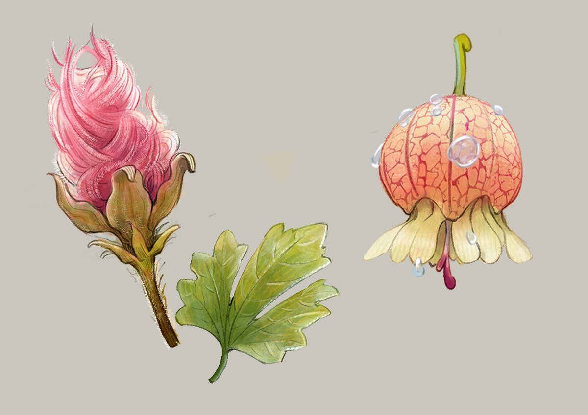 LeePaul1201's tweet photo. Botany concept https://t.co/QAMbwXQWAw