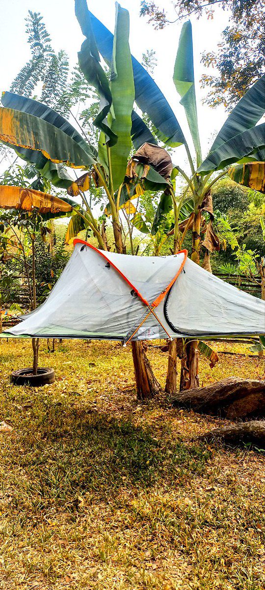leTogoRT's tweet image. RT @AphtalC: Une histoire de refaire son lit au réveil...

📍 Yaka-Yalé, Kpalimé, #Togo 🇹🇬

#DestinationTogo #Team228 #Tgtwittos #Travel #travelphotography