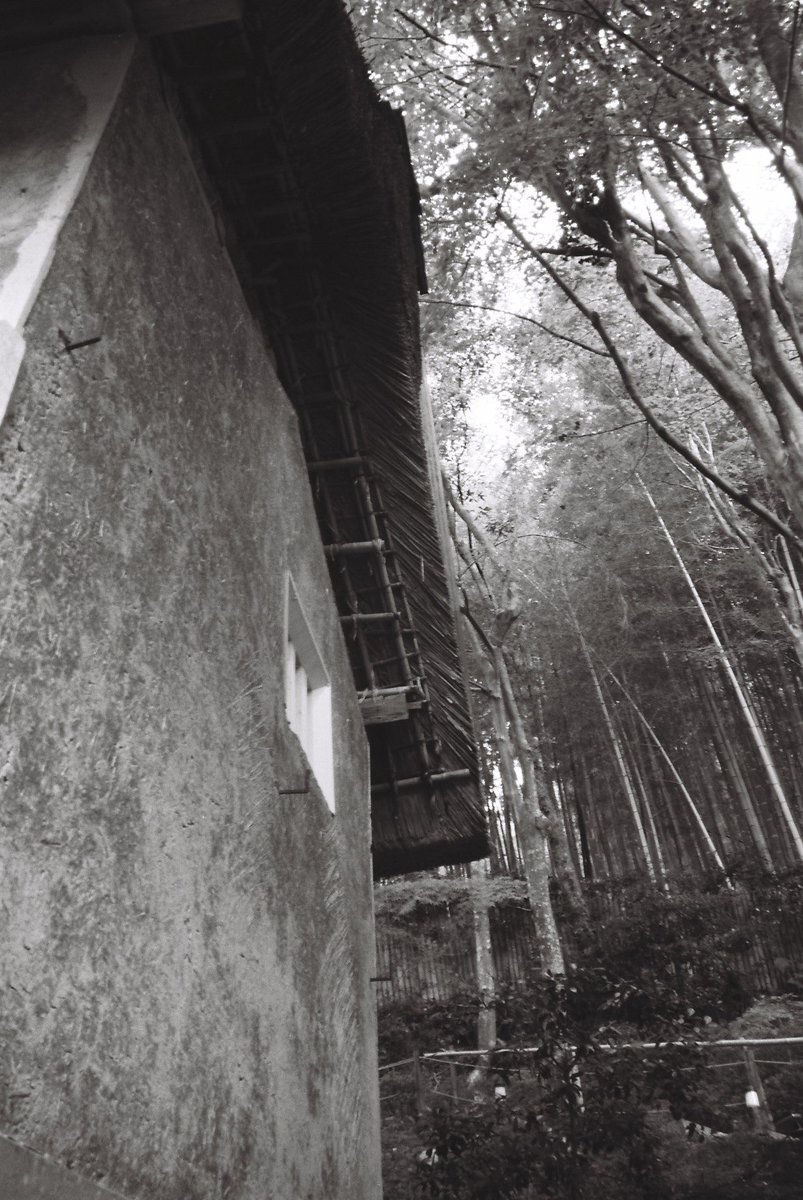 kyoto_suki's tweet photo. 晩御飯を何にしよう
#Olympus #OMPC TAMRON 71A ASPHERICAL 28-200mm F3.5-5.6 #Film #ILFORDDELTA100 #チャンプカメラ #monochrome #blackandwhite https://t.co/meT5vmqgiu