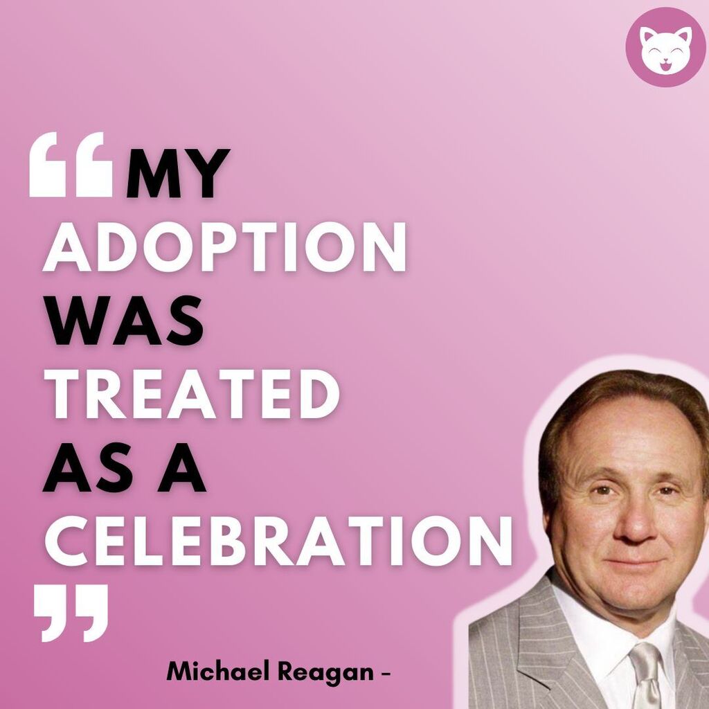 cutekittyorg's tweet photo. Second hand creatures make five star pets
.
.
.
.
.
.
#helpcat #catsonly #catsforever #catsforlife #catloversworld #catsarethebest #catsworld #catloversworld #cryptocurrencytrade #cryptocurrencyinvesting #cryptocurrencysolution #cryptocurrencyrevolution … https://t.co/uKBBaYzJwW https://t.co/5ASPJee3UT